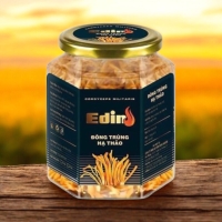 Đông Trùng Hạ Thảo Ký Chủ Nhộng Hộp Thủy Tinh