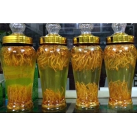 Đông Trùng Hạ Thảo 5 Lít