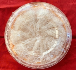 Tổ Yến Sào Tinh Chế – 100% Sợi, Tuyển Lựa Đặc Biệt