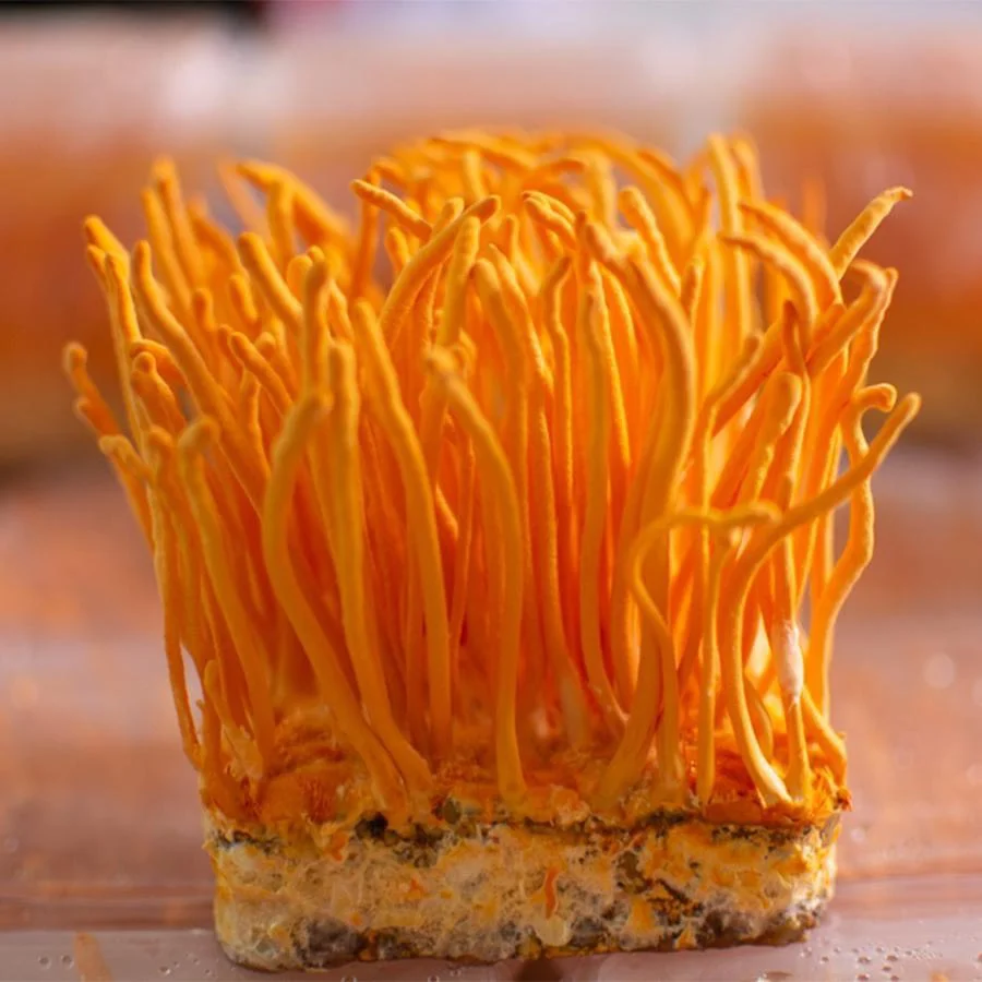 CÔNG TY TNHH SX ĐTHT HƯNG NGUYÊN